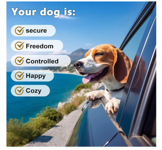 2 Cinture Sicurezza Auto per Cani