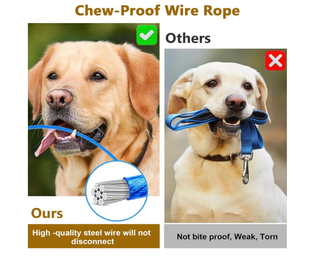 2 Cinture Sicurezza Auto per Cani