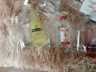 Botellitas variadas alcohol