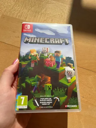 Minecraft per Nintendo Switch