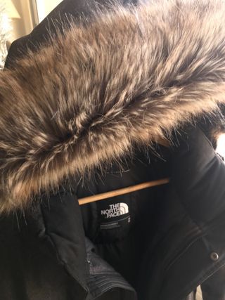 Parka The North Face Dryvent