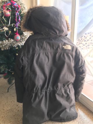 Parka The North Face Dryvent