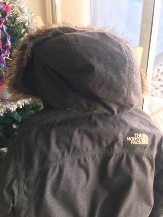 Parka The North Face Dryvent