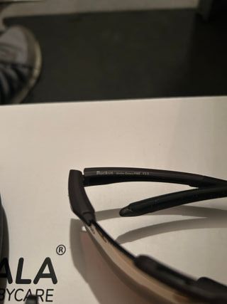 Gafas Smith Ruckus Matte Gravy