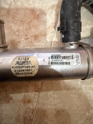 Válvulas EGR Citroen C6 2.7 V6