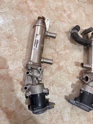 Válvulas EGR Citroen C6 2.7 V6