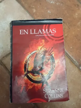 En llamas