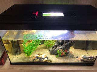 Acuario 54l. 60 por 33 de alto y 33 de profundidad