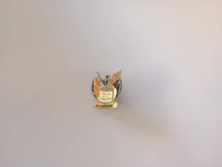 Lote Insignias Fallas