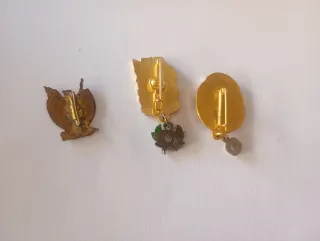 Lote Insignias Fallas