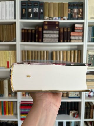 Por donde vive Swann A la sombra de las muchachas