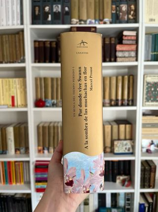 Por donde vive Swann A la sombra de las muchachas