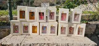 Collezione 14 Figure Fate Flower Fairies