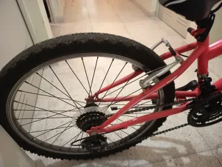 Bicicleta rosa montaña