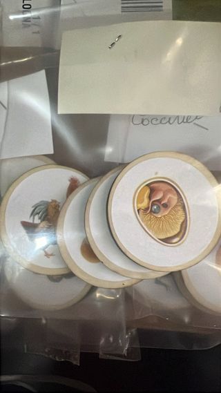 Montessori Cicli di Vita nove cicli