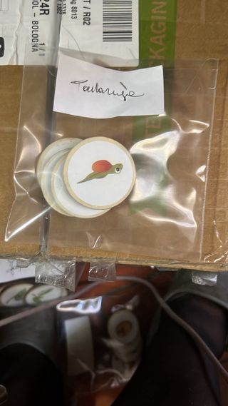 Montessori Cicli di Vita nove cicli