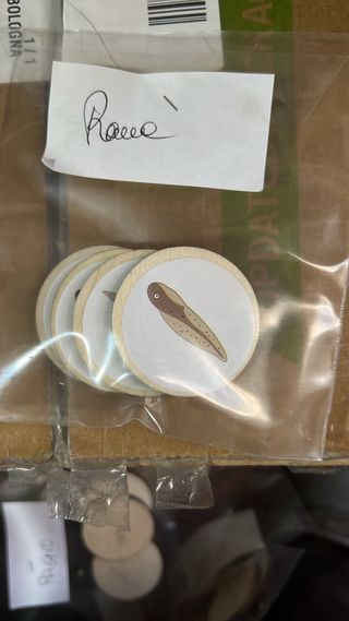 Montessori Cicli di Vita nove cicli