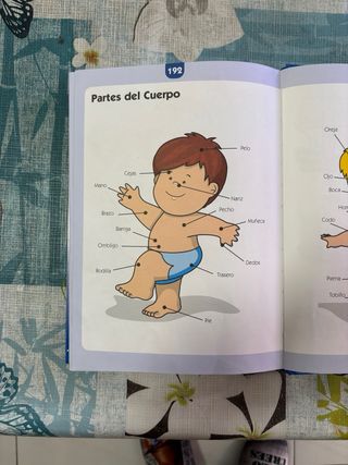 MI PRIMER GRAN DICCIONARIO / PD.