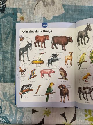 MI PRIMER GRAN DICCIONARIO / PD.