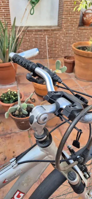 Bicicleta Montaña Boomerang modelo Xacobeo