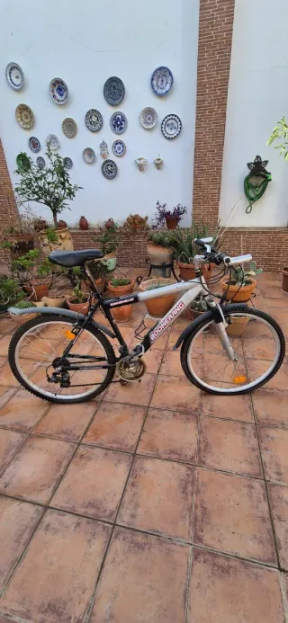 Bicicleta Montaña Boomerang modelo Xacobeo