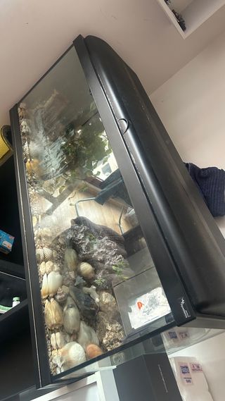 Acuario Negro y Transparente