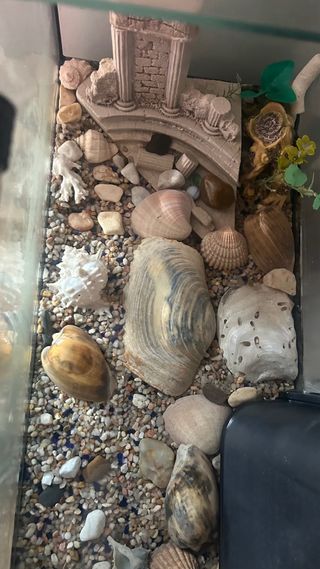 Acuario Negro y Transparente