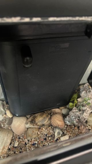 Acuario Negro y Transparente