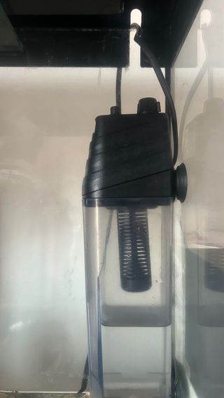 Acuario Negro y Transparente