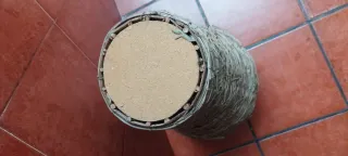 Jarrón rústico ramas olivo hecho a mano