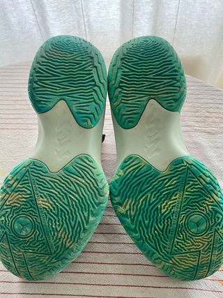 Zapatilla Nike Jordan Zion 1