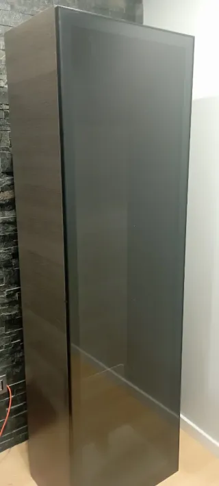 Vitrina de cristal negra para salón