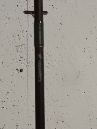 Caña de pescar con carrete