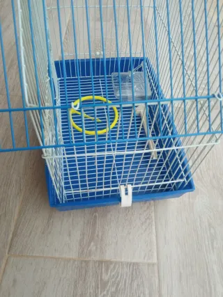 Jaula para pájaros azul y blanca