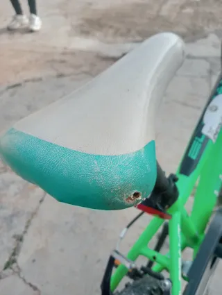 Bicicleta infantil verde