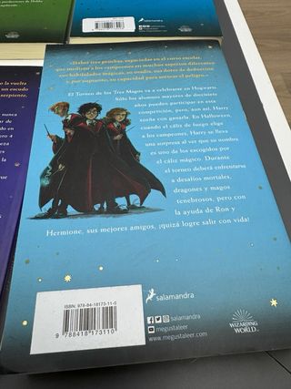 Lote libros Harry Potter