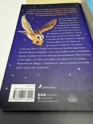 Lote libros Harry Potter
