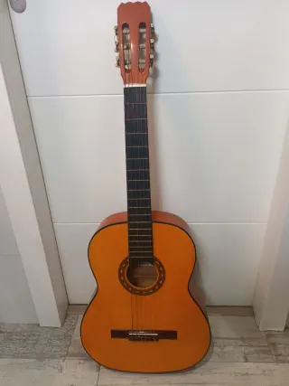 Guitarra Duquesa AE-1/102