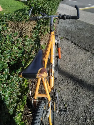 Bicicleta de Montaña Grisley Naranja