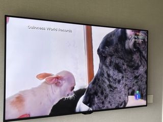 Televisión 50 Negro/Gris