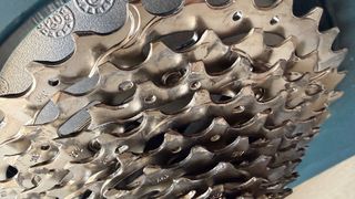 Rodillo Elite Turno Smart B