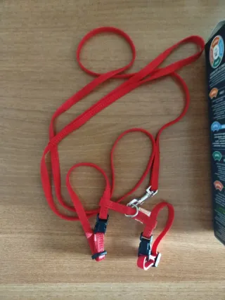 Arnés rojo para roedores