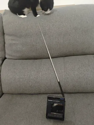 Mini TV Panasonic TC-L3E Portátil