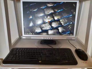 Ordenador HP con Pantalla, Teclado y Ratón