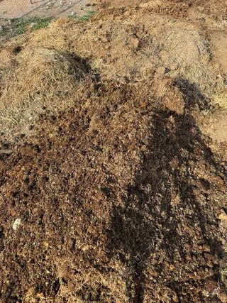 Estiércol de caballo y vaca