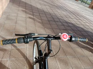 Bicicleta 26 con cesta y portabultos