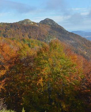 300 vinilos en muy buen estado