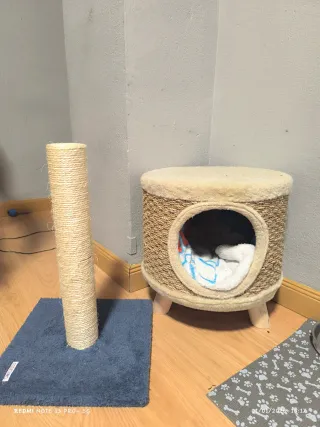 Casa y rascador para gatos