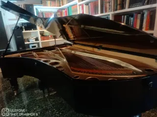 Piano de cola Bosendorfer Imperial 290