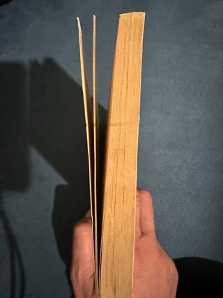 Processo di Sculacciabuchi Ifigonia